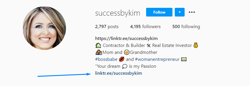 Instagram traffic from bio link
